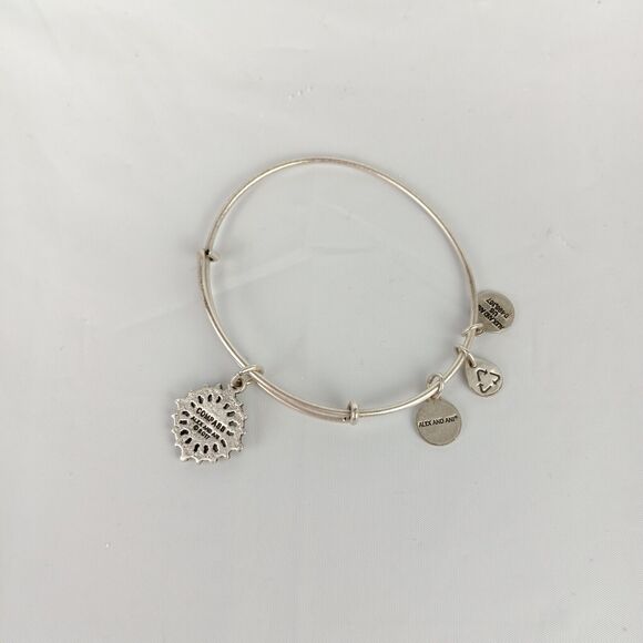 Alex & Ani  Compass Charm Silver Tone Expandable Bracelet Infused with Energy - Picture 5 of 8
